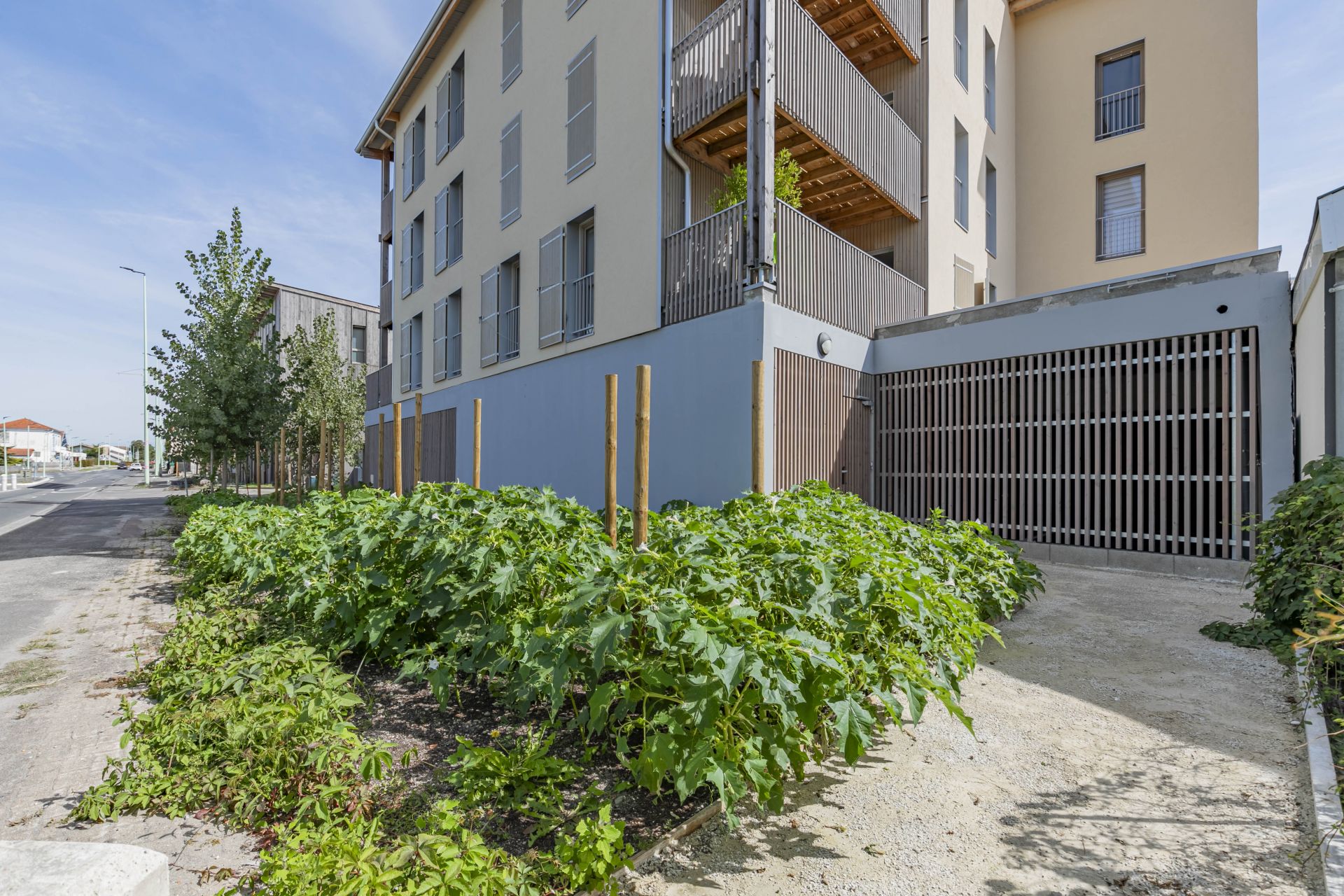 logement neuf extérieur Les Cottages - Biganos
